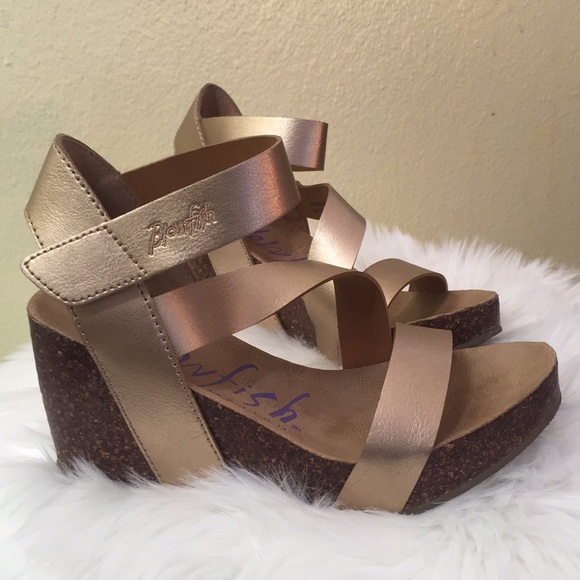 blowfish hapuku wedge